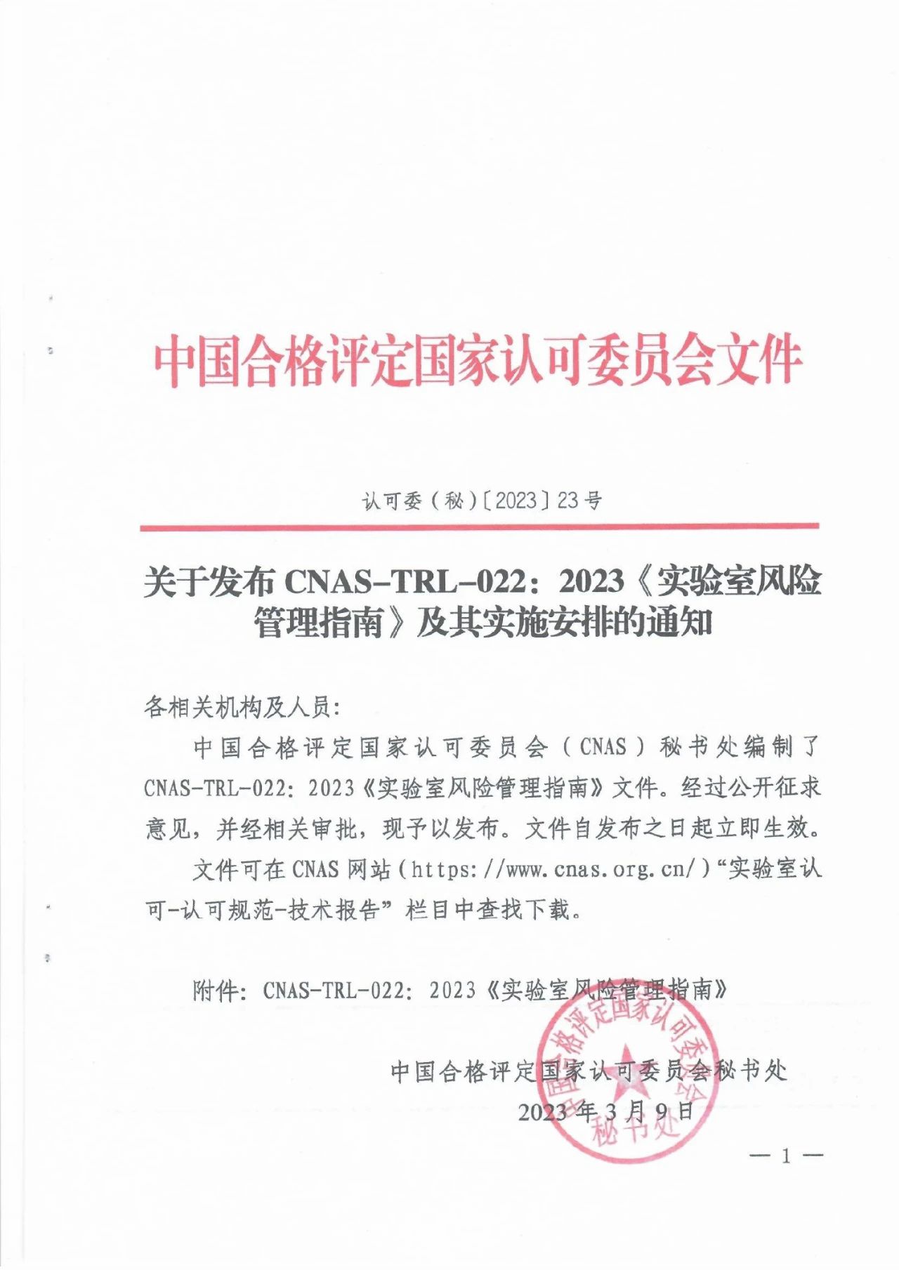 雷竞技RAYBET官网